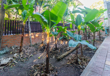 2 Bedroom House For Rent - Sala Kamreuk, Siem Reap thumbnail