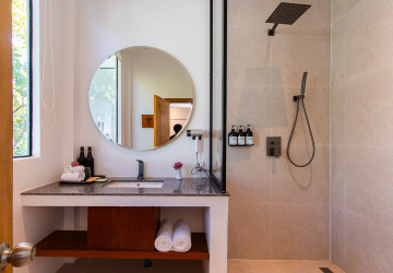 11 Bedroom Boutique Hotel For Rent - Svay Dangkum, Siem Reap thumbnail