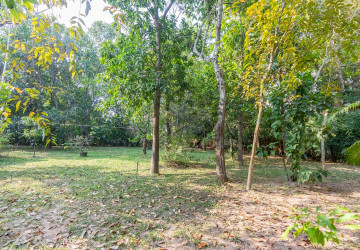 540 Sqm Land For Sale - Slor Kram, Siem Reap thumbnail