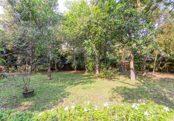 540 Sqm Land For Sale - Slor Kram, Siem Reap thumbnail