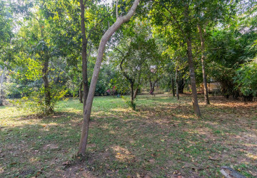 540 Sqm Land For Sale - Slor Kram, Siem Reap thumbnail