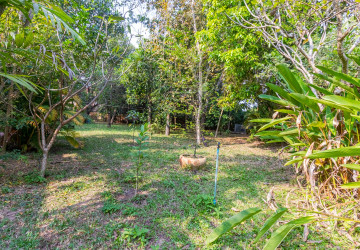 540 Sqm Land For Sale - Slor Kram, Siem Reap thumbnail