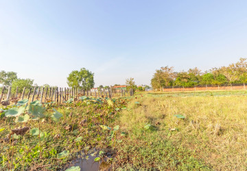1,298 Sqm Land For Sale - Svay Dangkum, Siem Reap thumbnail