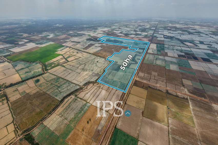 50 Hectares Land For Sale - Khsach Kandal, Kandal