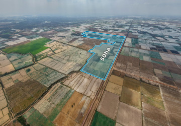 50 Hectares Land For Sale - Khsach Kandal, Kandal thumbnail