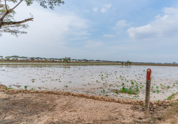 50 Hectares Land For Sale - Khsach Kandal, Kandal thumbnail