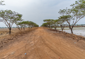 50 Hectares Land For Sale - Khsach Kandal, Kandal thumbnail