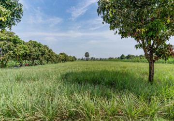 4,257 Sqm Land For Sale - Areyksat, Kandal thumbnail