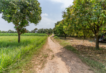 4,257 Sqm Land For Sale - Areyksat, Kandal thumbnail