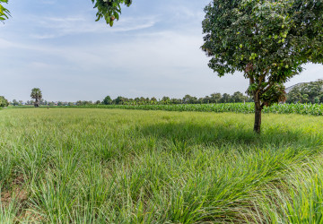 4,257 Sqm Land For Sale - Areyksat, Kandal thumbnail