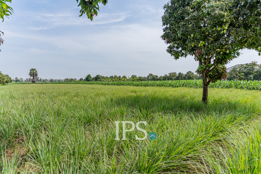 4,257 Sqm Land For Sale - Areyksat, Kandal - Image 11 4,257 Sqm Land For Sale - Areyksat, Kandal - Image 11