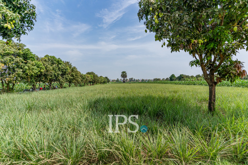 4,257 Sqm Land For Sale - Areyksat, Kandal