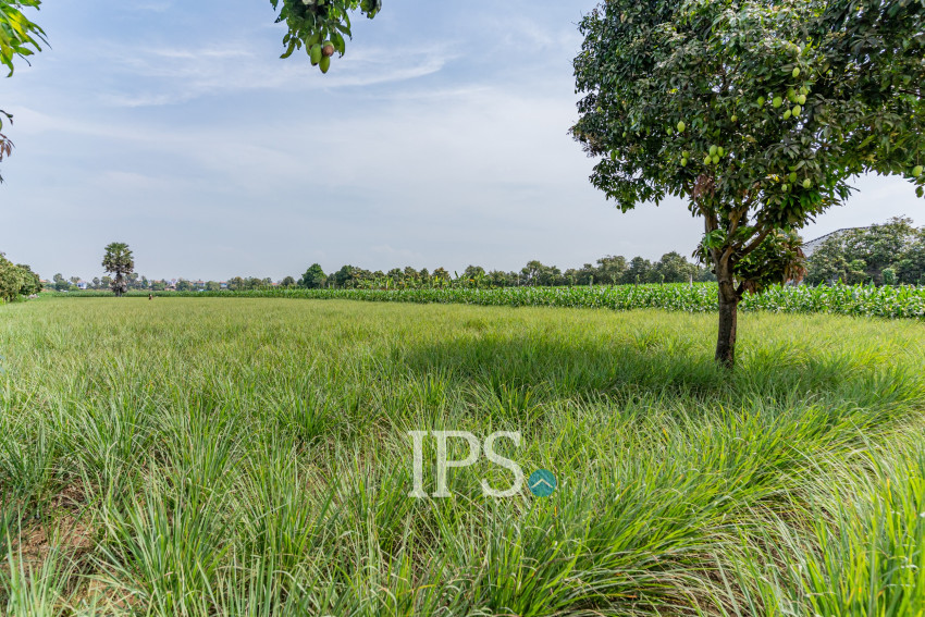 4,257 Sqm Land For Sale - Areyksat, Kandal