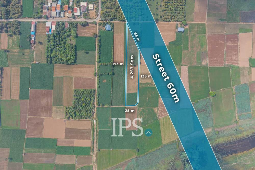 4,257 Sqm Land For Sale - Areyksat, Kandal - Image 4 4,257 Sqm Land For Sale - Areyksat, Kandal - Image 4