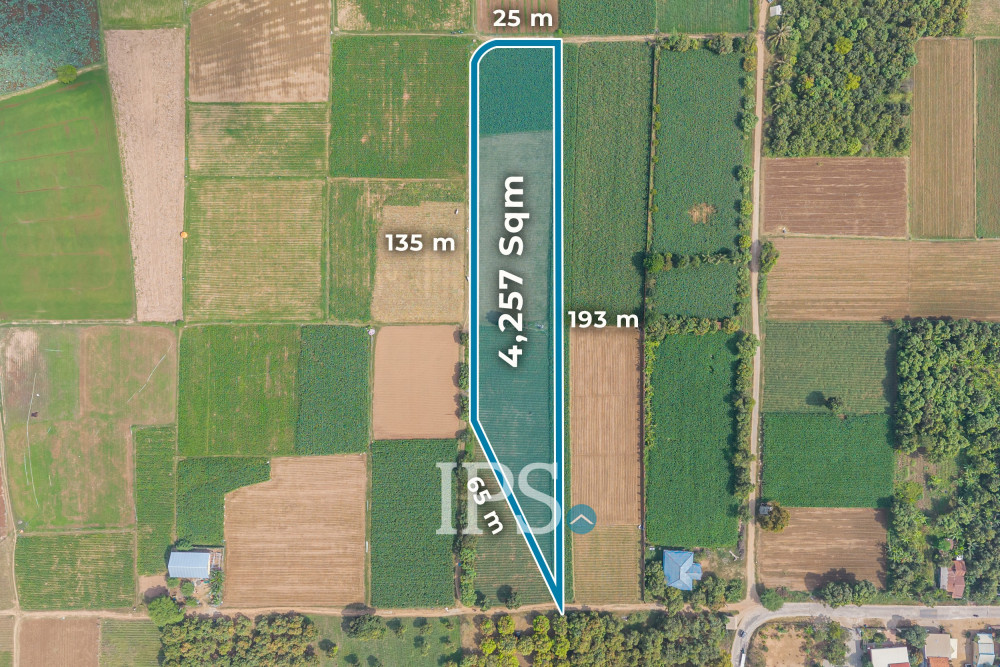 4,257 Sqm Land For Sale - Areyksat, Kandal 4,257 Sqm Land For Sale - Areyksat, Kandal