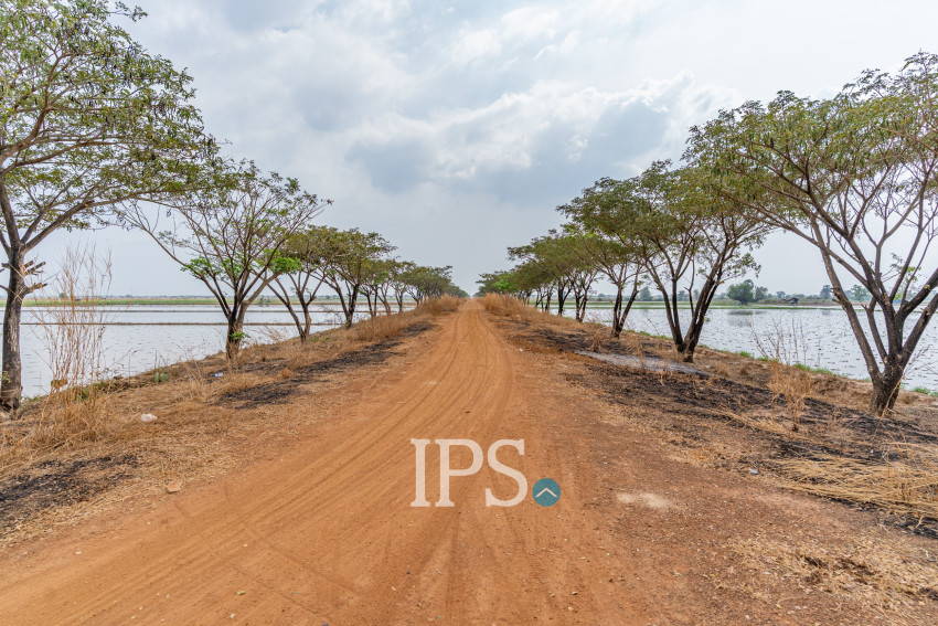 110 Hectares Land For Sale - Khsach Kandal, Kandal