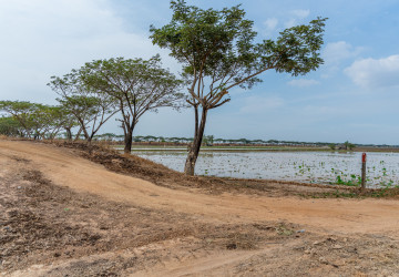 110 Hectares Land For Sale - Khsach Kandal, Kandal thumbnail