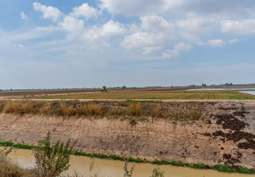 110 Hectares Land For Sale - Khsach Kandal, Kandal thumbnail