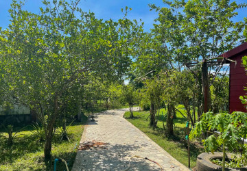 5 Bungalows And Khmer Wooden House  For Sale - Anlong Vil, Battambang Province thumbnail