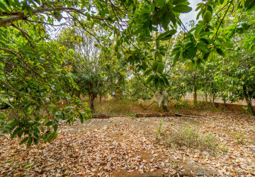 2,692 Sqm Land For Sale - Ampil, Prasat Bakong, Siem Reap thumbnail