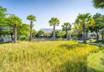 10 Bedroom Hotel For Sale - Sala Kamreuk, Siem Reap thumbnail