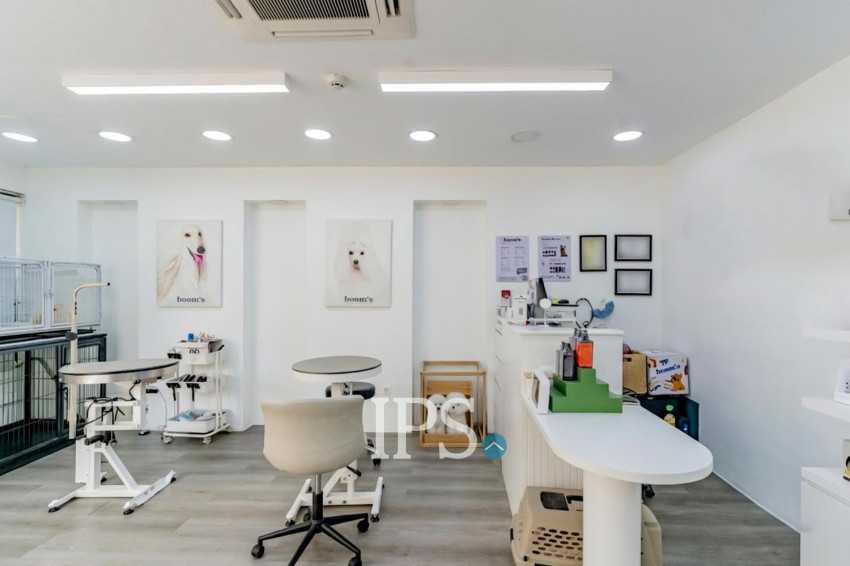 Dog Grooming Business For Sale - Toul Tum Poung 1, Phnom Penh