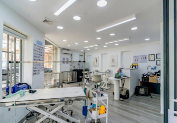 Dog Grooming Business For Sale - Toul Tum Poung 1, Phnom Penh thumbnail