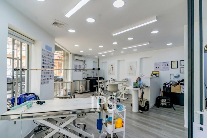 Dog Grooming Business For Sale - Toul Tum Poung 1, Phnom Penh