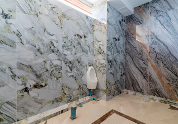 4 Bedroom Villa For Sale - Tonle Bassac, Phnom Penh thumbnail