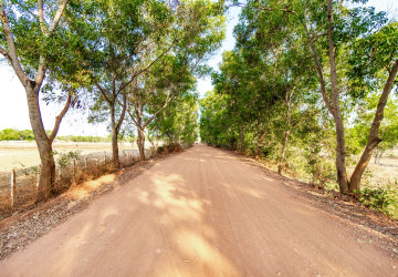 999 Sqm Land For Sale - Svay Dangkum, Siem Reap thumbnail