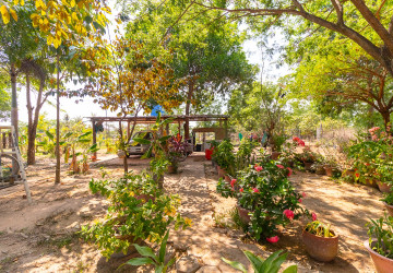 3 Bedroom House For Rent - Svay Dangkum, Siem Reap thumbnail