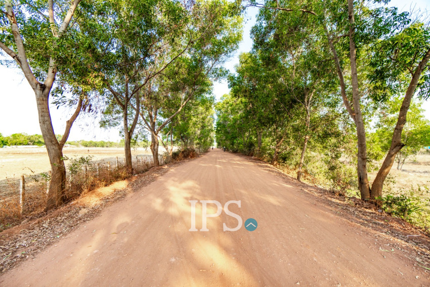 923 Sqm Land For Sale - Svay Dangkum, Siem Reap