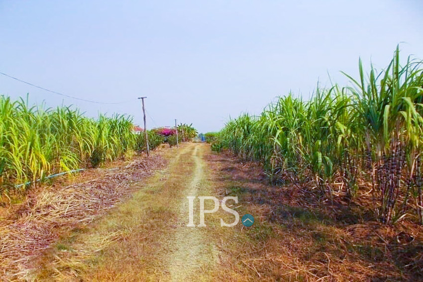 24,680 Sqm Land For Sale - Banteay Meanchey Province