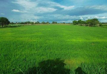 24,680 Sqm Land For Sale - Banteay Meanchey Province thumbnail