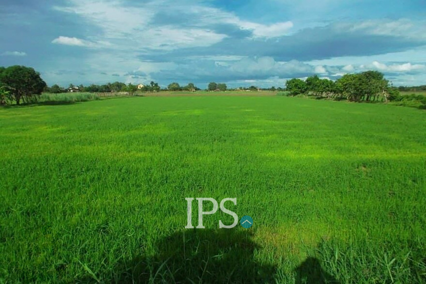 24,680 Sqm Land For Sale - Banteay Meanchey Province