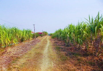 24,680 Sqm Land For Sale - Banteay Meanchey Province thumbnail