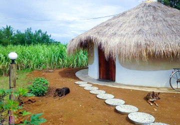 24,680 Sqm Land For Sale - Banteay Meanchey Province thumbnail