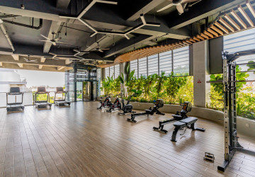 Loft 1 Bedroom Condo For Rent - Morgan Enmaison, Chroy Changvar, Phnom Penh thumbnail
