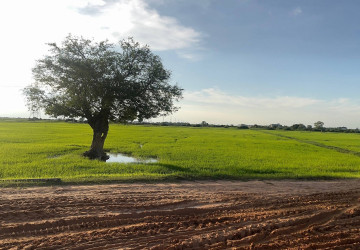 49,450 Sqm Land For Sale  Krobei Riel, Siem Reap thumbnail