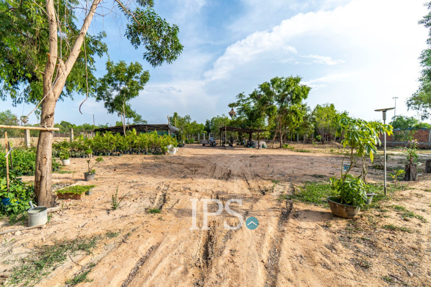 10,957 Sqm Land For Sale - Svay Dangkum, Siem Reap