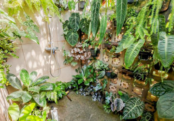 2 Bedroom Villa  For Sale- Tuek Chhuo, Kampot thumbnail