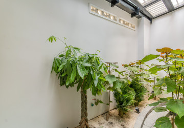 120 Sqm Retail Space For Rent - BKK1, Phnom Penh thumbnail
