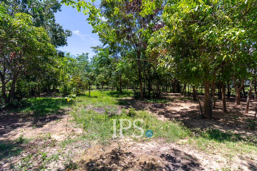 3700 Sqm Commercial Land For Rent - Teuk Vil, Siem Reap