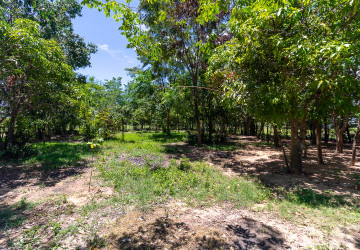 3700 Sqm Commercial Land For Rent - Teuk Vil, Siem Reap thumbnail