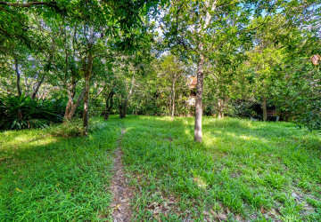 1,520 Sqm Land For Sale - Slor Kram, Siem Reap thumbnail