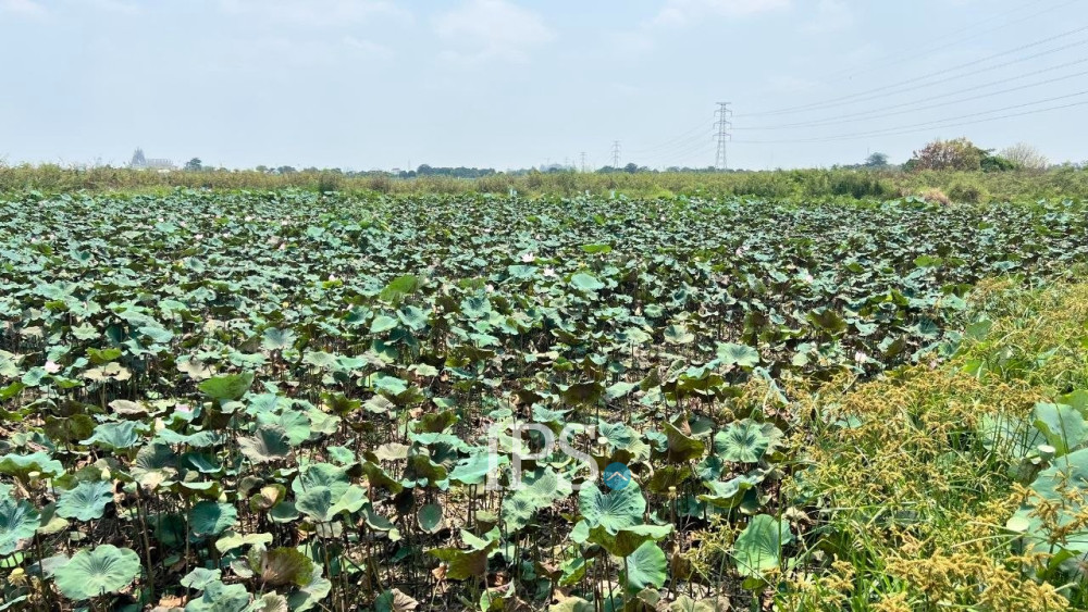 2,301  Sqm Land For Sale - Ta Khmau, Kandal Province - Image 17