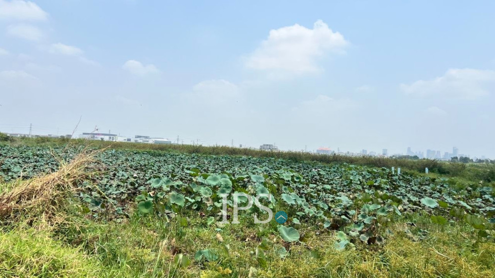 2,301  Sqm Land For Sale - Ta Khmau, Kandal Province - Image 16
