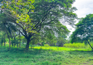 4,448 Sqm Land For Sale - Sala Kamreuk, Siem Reap thumbnail