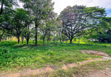 4,448 Sqm Land For Sale - Sala Kamreuk, Siem Reap thumbnail