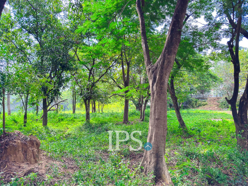 4,448 Sqm Land For Sale - Sala Kamreuk, Siem Reap